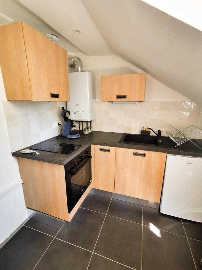 Appartement Cosy En Hypercentre - Le Petit Jules Dijon Exterior foto
